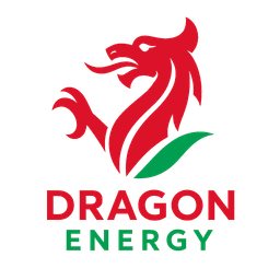 Dragon Energy